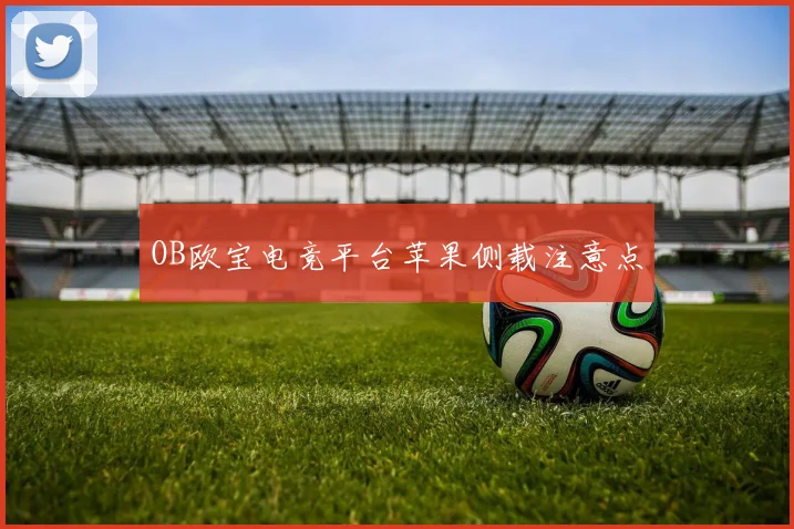 OB欧宝电竞平台苹果侧载注意点