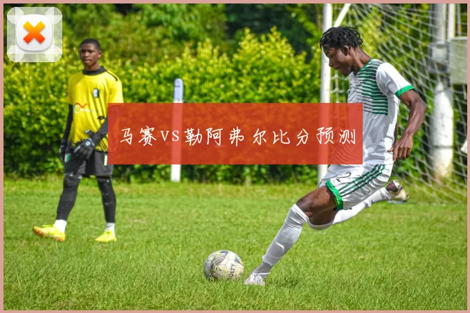 马赛vs勒阿弗尔比分预测