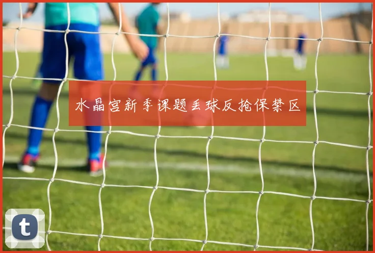 水晶宫新季课题丢球反抢保禁区