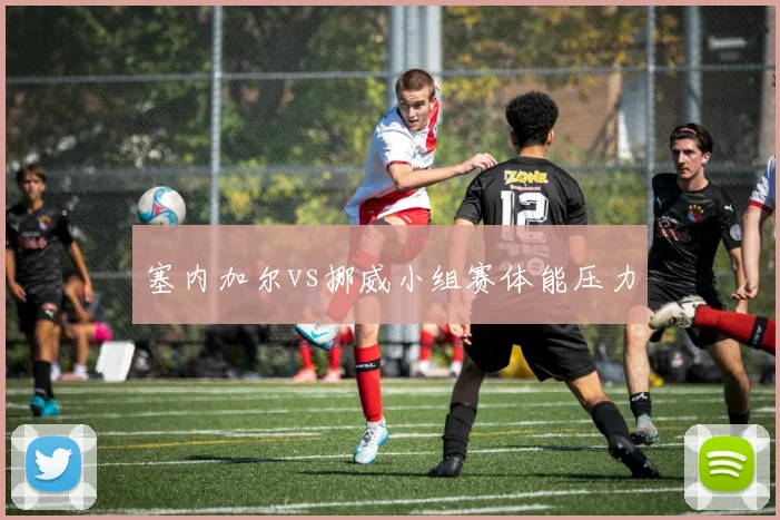 塞内加尔vs挪威小组赛体能压力