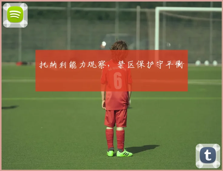 托纳利能力观察，禁区保护守平衡